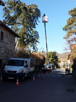 Entretien des espaces verts: Elagage, Taille, Tonte...